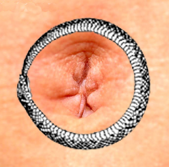Ouraboros resting on a relaxed navel.