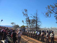 Protectors of the Electric Fence