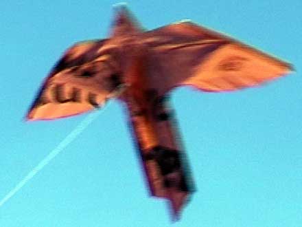 One of the Kites we made in Newcastle from Dept of Immigration's orange plastic Harmony Day promotional banner.