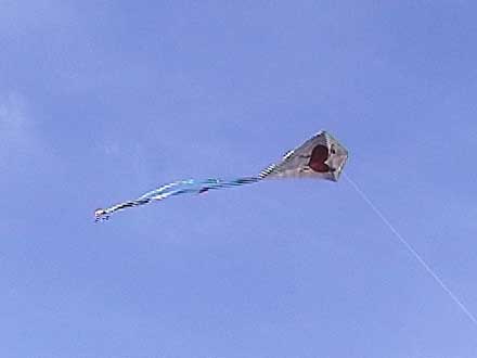 Heart Kite flying high.