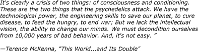 terence-mckenna-quote