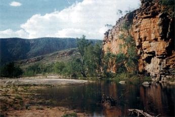 eductn-aust-ganma-odyssey-10