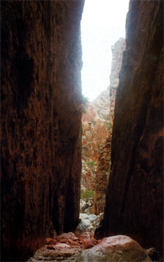 eductn-aust-ganma-odyssey-2