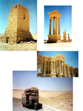 Palmyra-compilation-blog